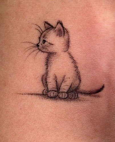 Tuxedo Cat Tattoo Ideas, Fuzzy Cat Tattoo, Cat Reading Book Tattoo, Cherry Blossom Cat Tattoo, Cat Pumpkin Tattoo, Tabby Cat Tattoo Simple, Cat Tattoo Designs Memorial, Tattoo Ideas Female Cat, Cat Tattoo Designs Simple