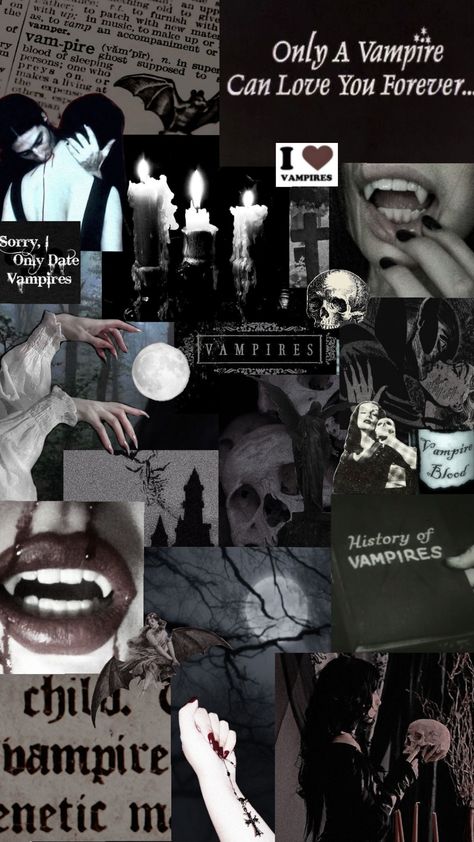 Vampire Wallpaper!<3 #halloween #vampire #vampireaesthetic #vampirevibe #vampirecore #halloweenaesthetic #dark #darkred #aesthetic #blackaesthetic #trending #viral #f4f Goth Vampire Wallpaper, Vampire Wallpaper Dark, Vampire Aesthetic Collage, Vampire Gothic Aesthetic, Vampire Phone Wallpaper, Dark Vampire Aesthetic Wallpaper, Vampire Queen Aesthetic, Vampire Wallpaper Aesthetic, Dark Vampire Aesthetic