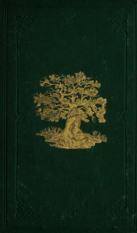 Old Story Book, Green Book, Dark Green Aesthetic, Vintage Book Covers, Beautiful Book Covers, Makijaż Smokey Eye, Color Magic, Forest Trees, Book Illustrations