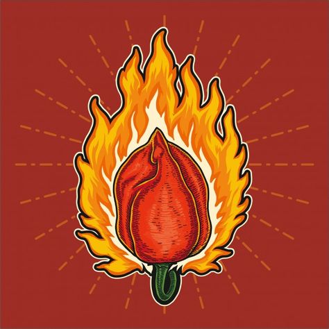 Habanero Pepper Tattoo, Habanero Illustration, Habanero Tattoo, Chili Board, Esperanza Rising, Fire Illustration, Habanero Chili, Alice And Wonderland Tattoos, Veggie Art