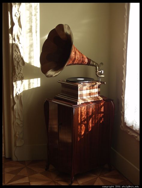 would love an old gramophone for a decoration! They're fabulous! Steampunk Movies, Antique Music Box, Blithe Spirit, Steampunk Festival, Steampunk Theme, Neo Victorian, Old Radios, Still Life Drawing, Alternate History