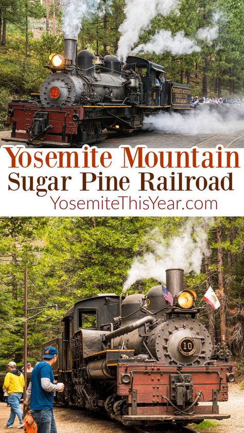 Yosemite Mountain Sugar Pine Railroad is a 4-mile railroad excursion that takes you back in time on a historic narrow gauge Shay steam train through the Sierra National Forest. This is the perfect family friendly adventure near Yosemite National Park, Fresno, and Oakhurst, California. Pet friendly Oakhurst California, Yosemite Camping, Scenic Railroads, Kings Canyon National Park, Kings Canyon, California National Parks, Sequoia National Park, Steam Train, Late Fall