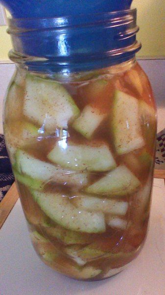 Zucchini “Apples” – Crowded Earth Kitchen Zucchini Apples, Squash Zucchini Recipes, Canning Zucchini, Canned Zucchini, Zucchini Recipes Dessert, Zucchini Plants, Easy Zucchini Recipes, Canning Fruit, Canning Vegetables