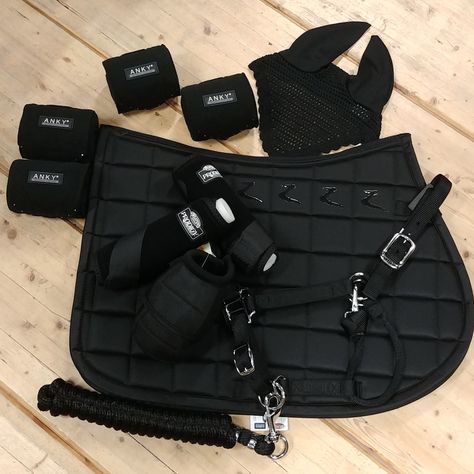 Black Horse Tack, English Tack Sets, Horse Tack Rooms, Horse Barn Ideas Stables, Horseback Riding Outfits, Horse Riding Outfit, Horse Black, Riding Clothes, Horse Riding Clothes