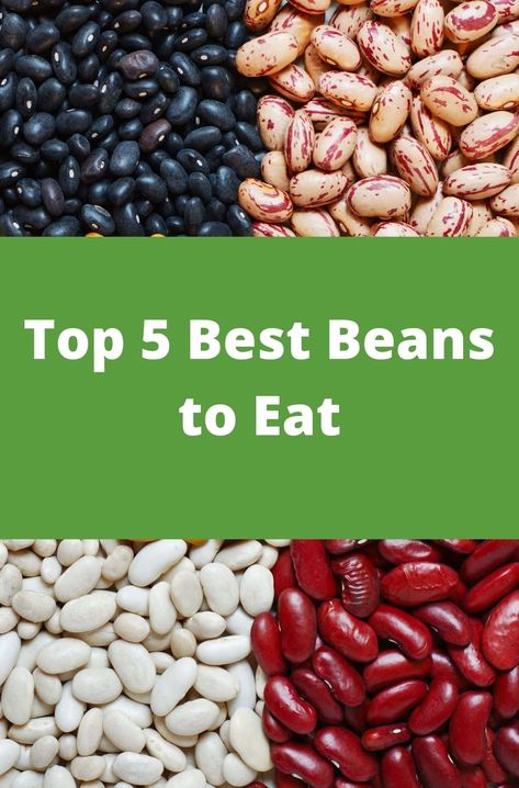 Top 5 Best Beans to Eat Protein Substitutes For Meat, Cooking Frozen Green Beans, Beans Recipe Healthy, Bean Diet, Beans Benefits, Dry Beans Recipe, Gerd Recipes, Healthy Beans, Mind Diet