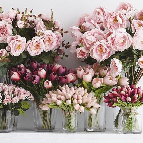 Peonies or roses, orchids or tulips, hydrangeas or magnolias - what's your signature flower? We think they're all blooming brilliant. www.provincialhomeliving.com.au Tulips Arrangement, Peonies And Hydrangeas, Blush Wedding Flowers, Tulips Garden, Blush Flowers, Bouquet Arrangements, Floral Arrangements Wedding, Flower Lover, Beautiful Bouquet