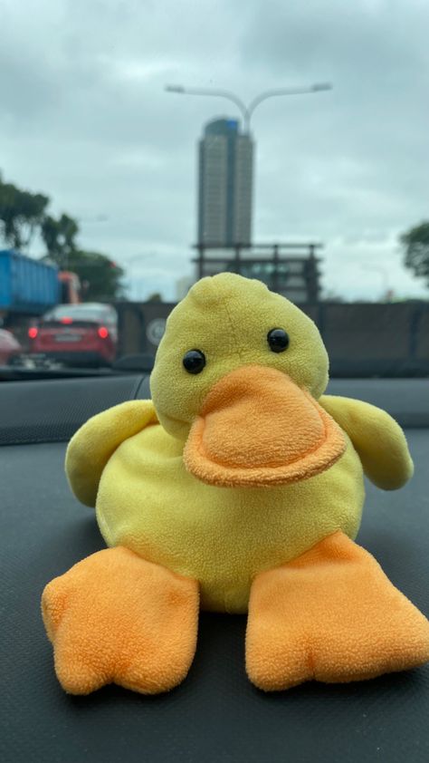 Twin Guys, Duck Plushie, Ducky Duck, Quack Quack, Duck Toy, Silly Photos, In The Car, Cute Plush, Rubber Duck