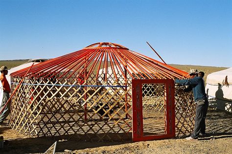 Mud Building Blog - THE MUD HOME Yurt Construction, Yurts For Sale, Mongolian Ger, Building A Yurt, Mongolian Yurt, Yurt Living, Pine Timber, Vernacular Architecture, Diy Greenhouse