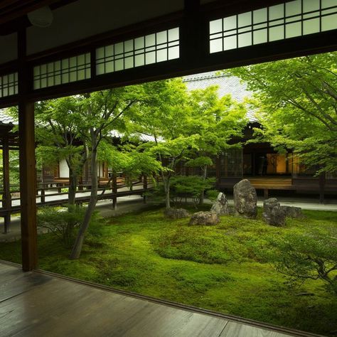 Kyoto Garden, Lotus Garden, Zen Garden Design, Japan Garden, Japanese Garden Design, Asian Garden, Japan Kyoto, Japanese Architecture, Easy Garden