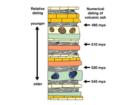 Radiometric dating - Understanding Evolution Absolute Dating, Science Images, Rocks And Fossils, Sedimentary Rocks, A Classroom, Classroom Activities, Geology, The Universe, Evolution