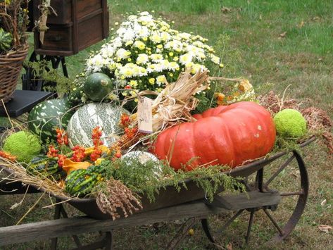 common ground : Weekend Inspiration: Wagons and Wheelbarrows for Fall Wheelbarrow Decor, Fall Decoration Ideas, Goat Cart, Mums In Pumpkins, Fall Yard Decor, Fall Landscaping, Wheelbarrow Planter, The Garden Room, Outside Fall Decor