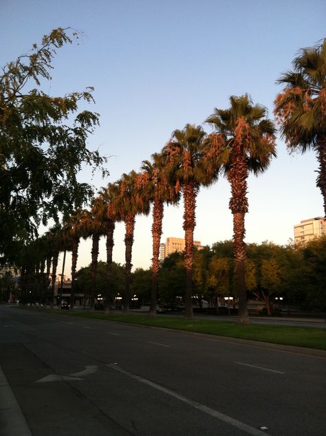 Downtown San Jose Downtown San Jose, Donner Lake, Pinnacles National Park, Yosemite Camping, California Baby, California San Francisco, California Vibe, San Jose California, Clear Lake