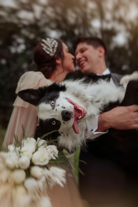 Family Dog Photos, Wedding Photos Ideas, Couple Engagement Pictures, Wedding Fur, Sea Wedding, Photos With Dog, Outdoor Engagement Photos, Dog Photoshoot, Unique Wedding Photos