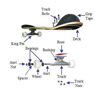 Skateboard Videos, Beginner Skateboard, Skateboarding Tricks, Longboard Design, Skateboard Deck Art, Skateboard Art Design, Skateboard Parts, Skateboard Trucks, Skateboard Photography