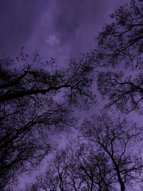 Dull Purple Aesthetic, Hallie Aesthetic, Asthetic Wallper Purple, Purple Night Sky, Vapor Art, Purple Wallpapers, Fall Purple, Purple Night, Purple Gothic