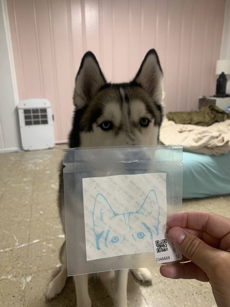 Malamute Tattoo Ideas, Husky Memorial Tattoo, Husky Eyes Tattoo, Creative Dog Tattoos, Husky Ears Tattoo, Dog Eyes Tattoo, Husky Tattoo Siberian, Husky Tattoo Simple, Siberian Husky Tattoo