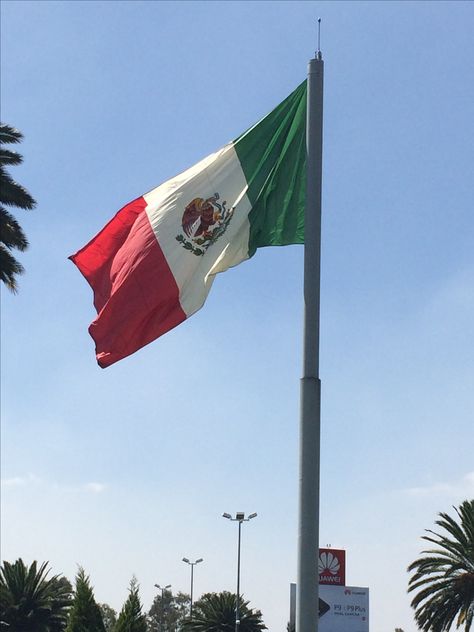 The flag of los Estados Unidos Mexicanos outside Terminal 2 at Benito Juárez International Airport in Mexico City. #mexicocity #mexico #cdmx #travel #airport #flag #bandera Mexico City Airport, Mexico Airport, Travel Airport, Delivery Pictures, Apple Gift Card, City Flags, Mexico Flag, México City, Airport City