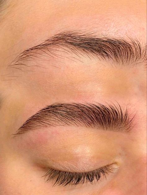 Оформление бровей, окрашивание бровей , inst - @cartell.eva Tattoo Brows, Neck Tension, Straight Brows, Eyelashes And Eyebrows, Eyelash Logo, Thick Brows, Eyelash Lift, Nail Art Instagram, Brow Lash