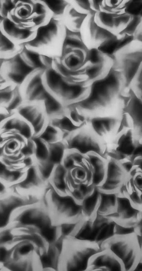 Roses, Black And White, Flowers, White, Black