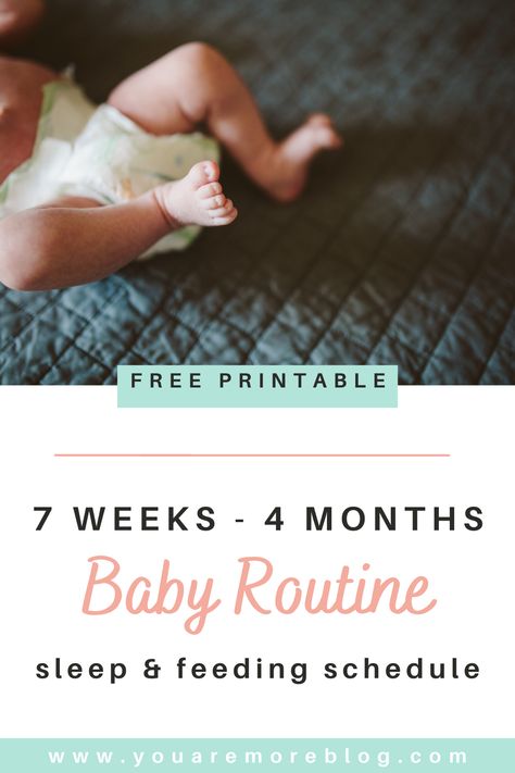 Sleep and feeding routine for your 7 week old baby. 7 weeks to 4 months baby routine. #baby #routine #sleeptraining Routine For Newborn, 4 Month Baby, Baby Routine, Newborn Tips, Pregnancy Info, Baby Schedule, Baby Kicking, Pregnancy Information, Pumping Moms