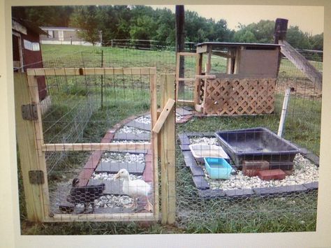 Duck housing Duckling Habitat, Duck Habitat Backyard, Duck Shelter, Duck Habitat, Duck Housing, Duck Enclosure, Duck Pool, Duck Pen, Duck Pens