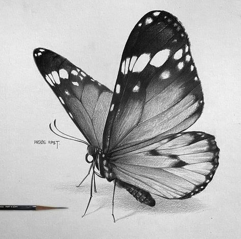 Perfect butterfly Realistic Hair Drawing, Butterfly Art Drawing, Sketch Style Tattoos, Butterfly Sketch, Pencil Drawings For Beginners, Realistic Sketch, Pencil Drawings Of Animals, Butterfly Artwork, A Level Art Sketchbook