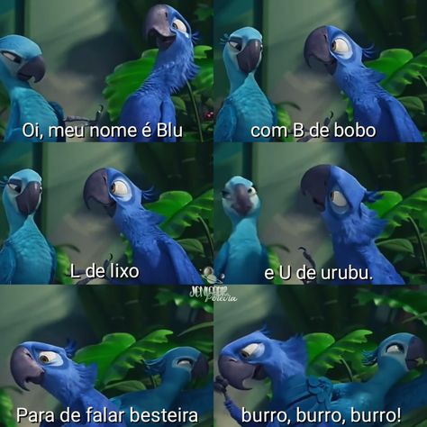 Blu conhece Jade, Filme Rio, ararinha azul, trechos Jade Rio, Rio Movie, Blue Sky, Jade, The Incredibles, Memes, Disney, Pins, Blue