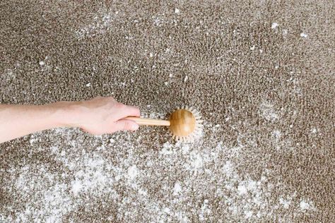 Here's How to Actually Get Your Carpet Clean (and Keep It That Way) How To Clean White Carpet Rugs, How To Wash Rugs At Home, How To Clean Carpet Without Machine, Deep Clean Living Room, How To Clean Velvet, Stain Removal Chart, Clean Dining Room, Carpet Wash, Cleaning Area Rugs