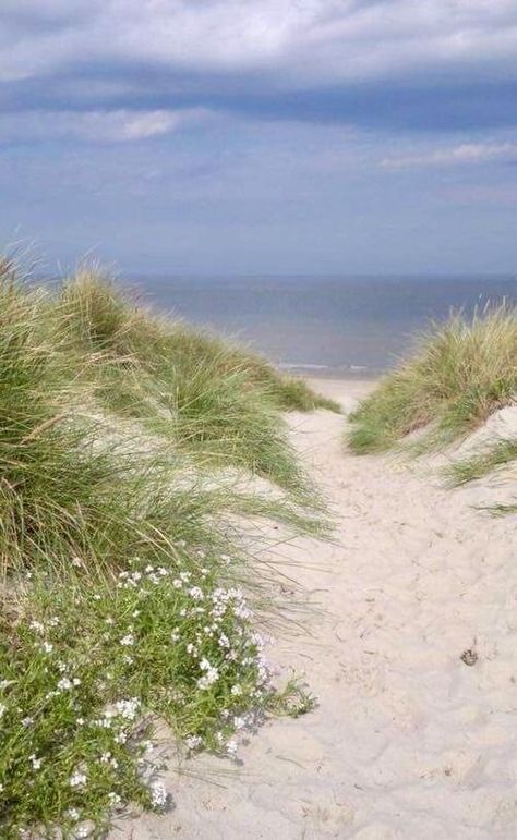 Beach Living, Beach Scenes, Ocean Beach, Land Scape, Beach Life, Beautiful Beaches, Beautiful World, The Netherlands, Beautiful Nature