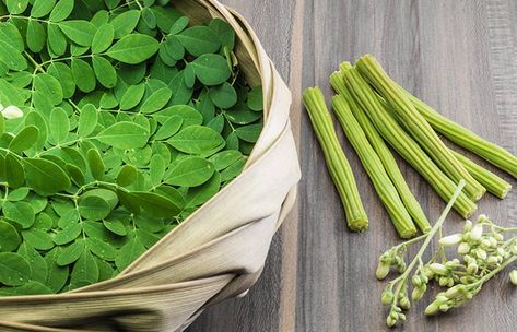 Drumstick Soup, Benefits Of Moringa Leaves, Drought Resistant Trees, Moringa Benefits, B6 Vitamin, Moringa Leaf Powder, Moringa Tree, Moringa Leaves, Moringa Powder