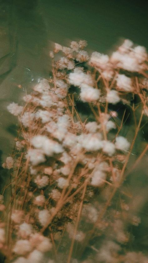 Aesthetic flower Flores Aesthetic, Blur Picture, Garden Of Words, Moving On In Life, Aesthetic Flower, Flower Pictures, Aesthetic Room, Flower Wallpaper, Book Aesthetic