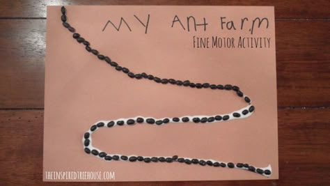 ANT FARM LESSON FINE MOTOR ACTIVITIES: ANT FARM Preschool Ant, Underground Animals, Art Projects For Kids Preschool, Preschool Bug Theme, Collaborative Art Projects For Kids, Preschool Insects, Ants Activities, Insect Study, Farm Lessons