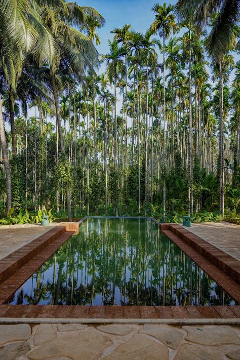 Architecture, nature, and music skilfully intertwine in this weekend home in Kerala | Architectural Digest India Kerala Architecture, Low Light Indoor Plants, Weekend Home, India Kerala, Architecture Nature, Tile Covers, Kerala Houses, Celebrity Culture, Indian Homes