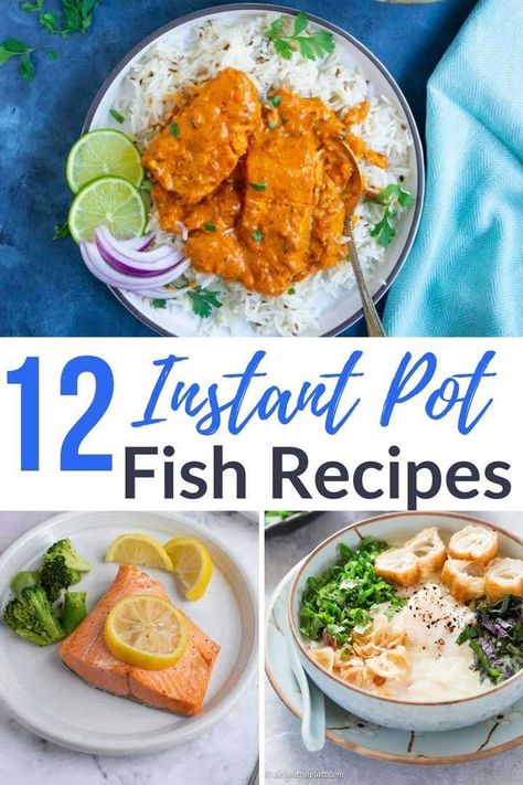 These instant pot fish recipes are quick and easy versions of your favorite seafood dishes. From salmon to fish tacos to tuna casserole, there's a fish dinner everyone in your family will love! Instant Pot Frozen Fish, Fish Recipes Instant Pot, Pressure Cooker Fish Recipes, Pescatarian Instant Pot Recipes, Fish In Instant Pot, Instapot Fish Recipe, Fish Instant Pot Recipes, Instant Pot Salmon Recipe, Instant Pot Seafood Recipes