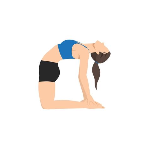 Ustrasana Pose, Camel Pose Yoga, Camel Pose, Yoga Sequences, Yoga Routine, Free Vector Images, Vector Art, Camel, Vector Images