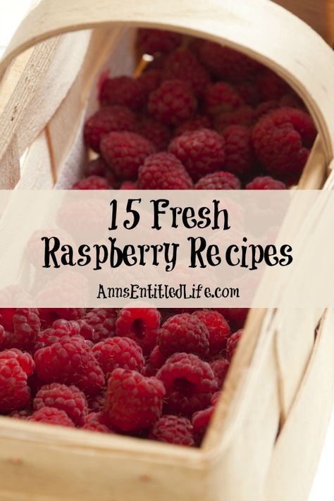 Dessert Recipes Using Fresh Raspberries, Fresh Picked Raspberry Recipes, Best Raspberry Recipes, How To Use Fresh Raspberries, Ideas For Raspberries, What To Do With Fresh Picked Raspberries, What Can I Do With Raspberries, Healthy Raspberry Recipes Clean Eating, Healthy Recipes With Raspberries