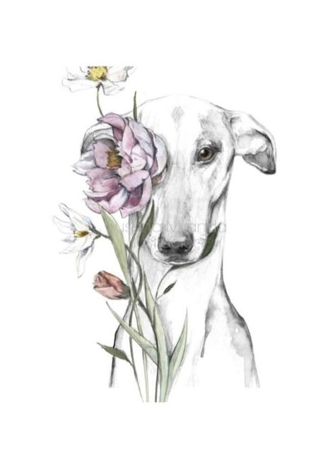 Whippet Tattoo Ideas, Whippet Tattoo, Whippet Drawing, Whippet Art, Greyhound Tattoo, Dog Memorial Tattoos, Skateboard Art Design, Greyhound Art, Animal Portraits Art