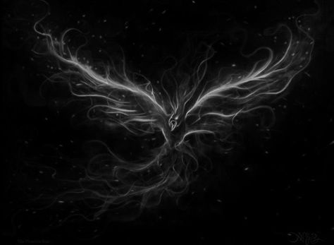 Phoenix Wings Aesthetic, Pheonix Aestethic Wallpaper, Ice Phoenix Bird, Phoenix Rising From Ashes Art, Black Wings Aesthetic Angel, Phoenix Painting, Smoked Wings, Wings Art, Kestrel