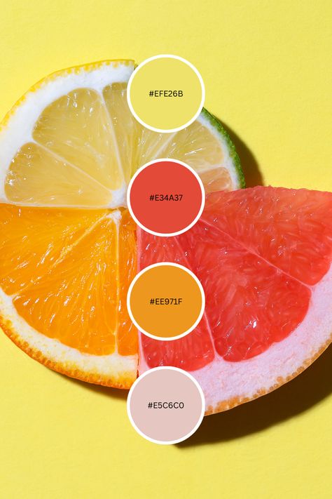 Fruity Colour Palette, Passion Fruit Color Palette, Yellow Summer Color Palette, Color Palette Fruit, Fruit Colour Palette, Color Palette For Food Brand, Fruit Color Palette, Citrus Color Palette, Food Colors Palette