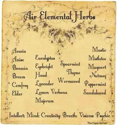 Elemental Magick, Air Elemental, Grimoire Ideas, Witchy Business, Magickal Herbs, Magia Das Ervas, Magic Herbs, Slippery Elm, Magical Herbs