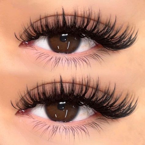 Natural Fake Eyelashes, Lash Ideas, Lashes Fake Eyelashes, Cat Eye Lash, Eyelash Extensions Styles, Perfect Eyelashes, Pretty Lashes, Lash Extensions Styles, Natural Eyelash Extensions