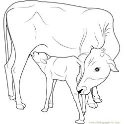 Indian Cow, Transportation Preschool Activities, Cow And Calf, Cow Coloring Pages, Owl Coloring Pages, Cow Face, Snake Art, Cow Calf, Cow Painting