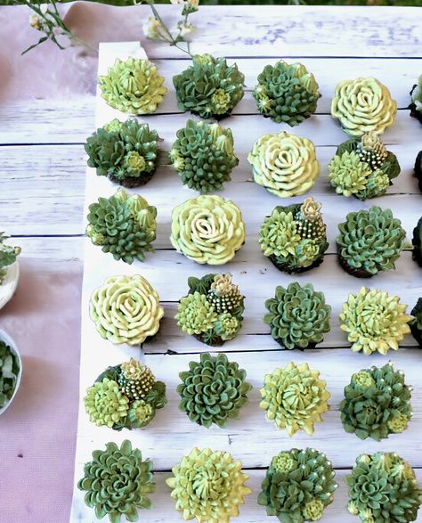 Green succulent designs made from our signature Italian Meringue Buttercream Succulent Cake Ideas, Plant Cupcakes, Baptism Cupcakes, Pastry Ideas, Succulent Theme, Succulent Cupcakes, Italian Meringue Buttercream, Cupcake Packaging, Best Cupcakes