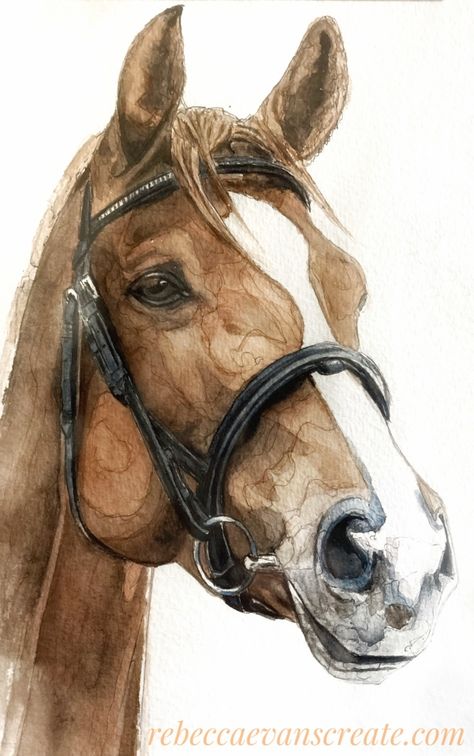 Horse Images Drawing, Horse Art Watercolor, Cool Horse Drawings, Horse Painting Simple, Drawing Ideas Horse Sketch, Horse Drawing Watercolor, Easy Horse Painting Ideas, Paint Horse Drawing, Watercolour Horse Painting