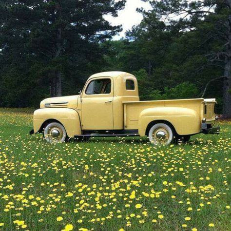 Click for more vintage cars hot rods and kustoms Submit Your... Click for more vintage cars hot rods and kustoms Submit Your Pics|Help Support This Blog Kustomblr Kustom Kulture Hot Rod Vintage Car Classic Car Antique Car Kustom HotRod Custom Car 1948 Ford Pickup, Yellow Truck, Old Vintage Cars, Vintage Pickup Trucks, Auto Retro, Old Pickup, Old Pickup Trucks, Classic Pickup Trucks, Cars Vintage