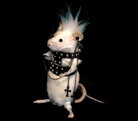 Punk Rat, Emo Rat