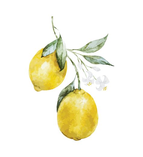 lemon artwork // yellow + sage green // Lemon Arrangements, Lemon Artwork, Lemon Drawing, Watercolor Lemon, Lemon Watercolor, Fruit Wallpaper, Watercolor Fruit, Watercolor Journal, Lemon Decor