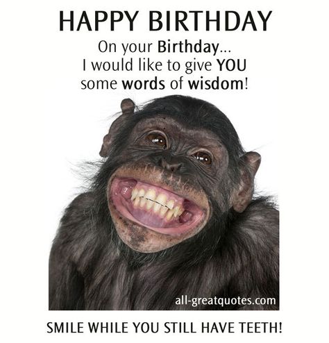 Quotes Birthday Birthday Wishes Greeting Cards, Funny Happy Birthday Images, Funny Happy Birthday Wishes, Birthday Wishes Greetings, Birthday Wishes Funny, Happy Birthday Meme, Happy Birthday Funny, Happy Birthday Pictures, Birthday Quotes Funny