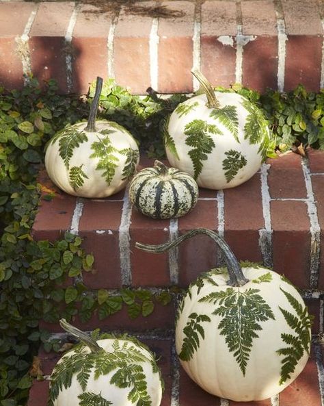 Easy Halloween Crafts you can DIY 5 Green Halloween Decor, Diy Halloween Apothecary Jars, Diy Halloween Crafts, Decoupage Pumpkins, Autumn Diy, Halloween Tricks, Home Decor Wallpaper, Homemade Halloween Decorations, Halloween Pumpkins Painted