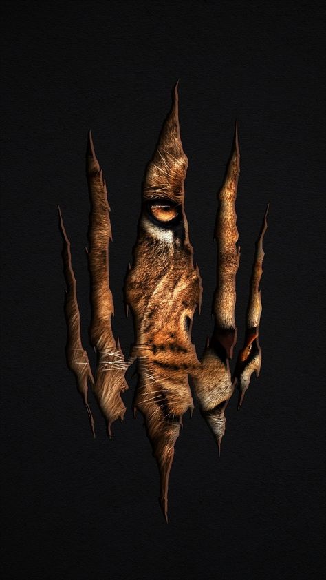 Sabretooth Tiger, Hipster Wallpaper, Beautiful Wallpaper For Phone, Tiger Tattoo, Beautiful Wallpapers, Phone Wallpaper, Tattoos